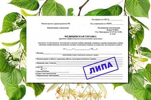 Курганского водителя приговорили к штрафу за подложную медсправку
