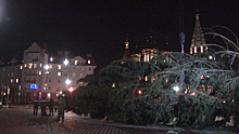 Новогодняя ёлка в Калининградской области претендует на звание самой высокой в стране