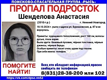 14-летняя девочка со шрамом под глазом пропала в Нижнем Новгороде