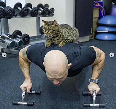 Всемирно известный кот Виктор из Владивостока похудел