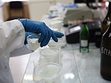 В Омской области резко возросло число заразившихся коронавирусом