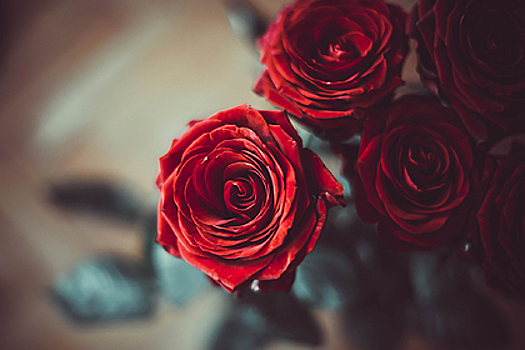 Белорус украл букет роз и был найден по «дорожке» из лепестков
