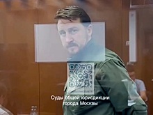 Экс-мэру Сочи Копайгородскому грозит до 10 лет колонии за присвоение 2 земельных участков