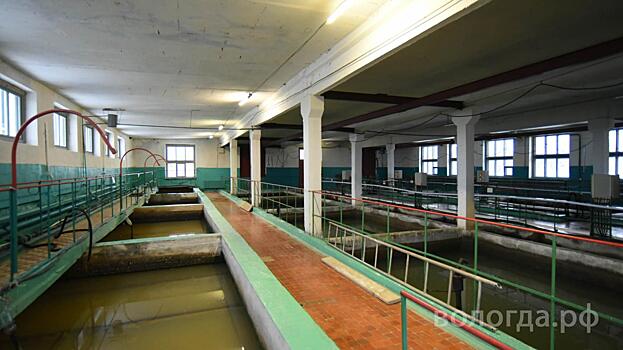 Количество реагентов для очищения воды увеличили в Вологде