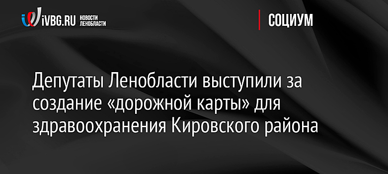 Депутаты Ленобласти выступили за создание «дорожной карты» для здравоохранения Кировского района