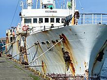 Япония возбудила дело против экипажа «Амура»