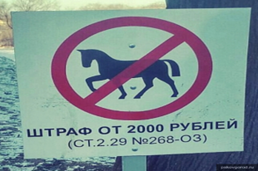 В Пскова вандалы уничтожили таблички о запрете нахождения лошадей в парках