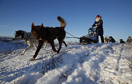 На Чукотке ввели новую меру поддержки для неработающих пенсионеров