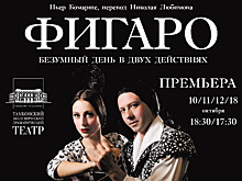 Тамбовский драматический театр готовит большую премьеру