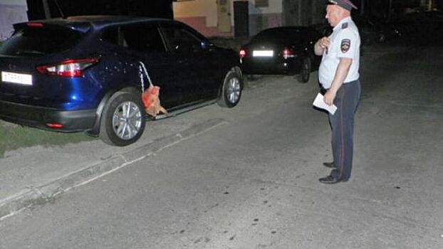 Фото: хулиганы "украсили" головой свиньи машину автоледи в Чебоксарах