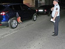 Фото: хулиганы "украсили" головой свиньи машину автоледи в Чебоксарах
