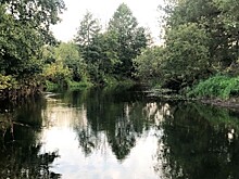 Заповедный порядок: в Тамбовской области введут новые правила экотуризма