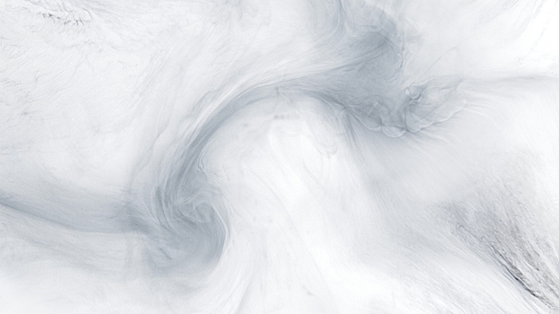 Объявлен главный цвет 2026 года