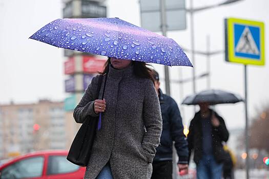 Москвичам пообещали облачную погоду