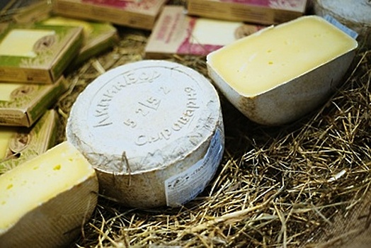 Завод по производству сыров появится в Наро‑Фоминском округе