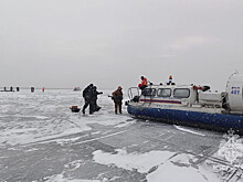 Финский залив полностью покрылся льдом впервые за 15 лет