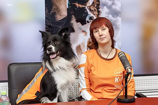 Кинолог из Псковской области Иванова объяснила преимущества собак при поиске людей