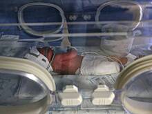 Что говорят родители и врачи о массовой гибели младенцев в роддоме Новокузнецка