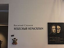 Испорченные при погроме на «Винзаводе» экспонаты выставки В.Слонова стоят примерно 20-25 тыс. евро