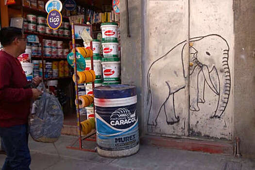 Журналист тревел-шоу Селин с командой попал под полицейскую облаву в Боливии