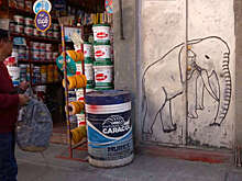 Журналист тревел-шоу Селин с командой попал под полицейскую облаву в Боливии