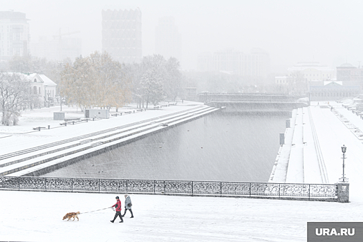 Погода на неделе в Екатеринбурге будет снежной