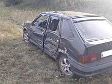 В вылетевшем с трассы под Саратовом автомобиле после столкновения с деревом пострадала 4-летняя девочка