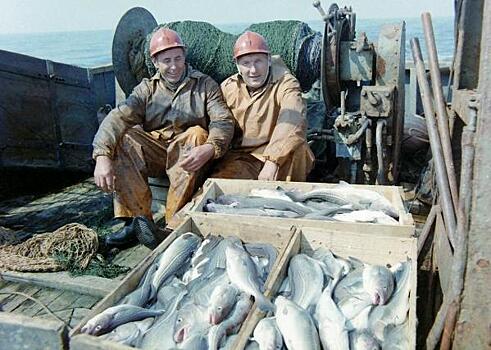 В России вновь вырастут цены на рыбу