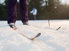 Лыжная трасса в усадьбе Воронцово участвует в опросе на портале «Активный гражданин»