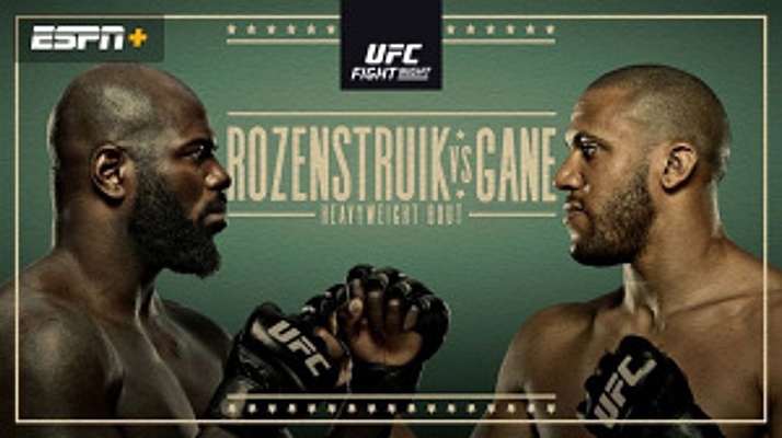 Watch ufc fights online hot sale