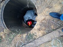 В Раменском спасатели достали козу из ливневой дренажной системы