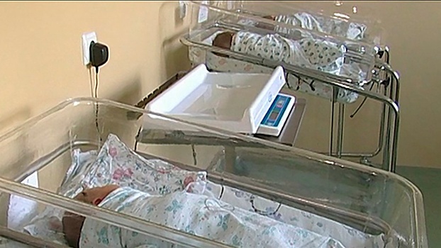 Кто виноват в трагедии: подмосковные следователи проверяют обстоятельства смерти рожденного суррогатной матерью младенца