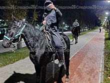 В Кисловодске двое всадников избили людей плеткой