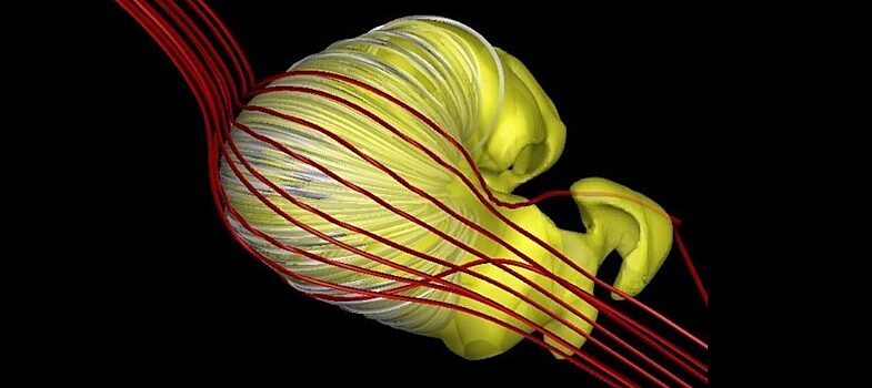 Эта странная форма на самом деле может быть тем, на что похож магнитный пузырь нашего Солнца