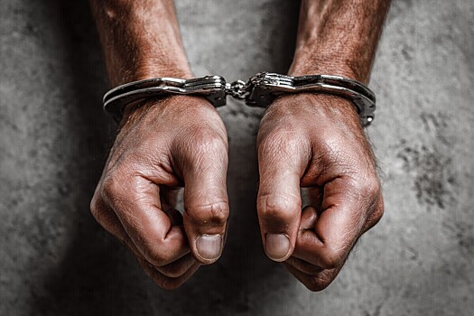 Полиция задержала россиянина, протащившего собаку за автомобилем