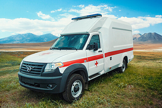 Боливия перейдет на расчеты за поставки автомобилей УАЗ в рублях