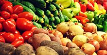 Нуждающимся семьям Кировской области передадут 5 тонн свежих овощей