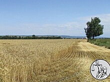 Опасения не должны стать реальностью!