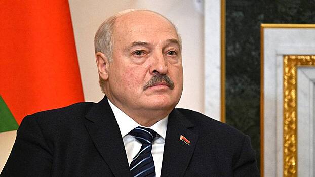 Лукашенко назвал условие для выдвижения в президенты в 2025 году