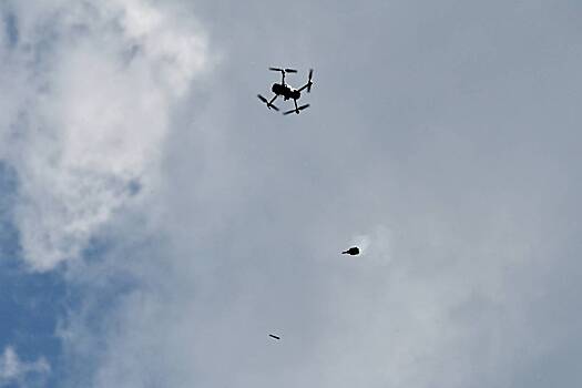 Зеленский назвал российскую атаку дронами одной из самых крупных