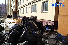 Экстренное совещание по поводу мусорного коллапса созвал приморский мэр