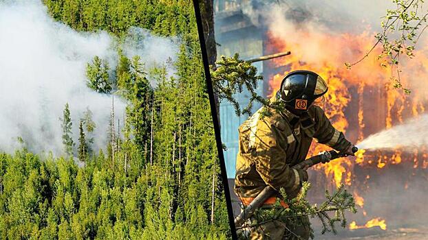 Спасут осенние дожди. Пожары в Сибири — признак глобального потепления?