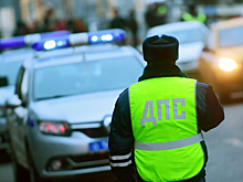 Водитель открыл стрельбу из фейерверка по полицейским