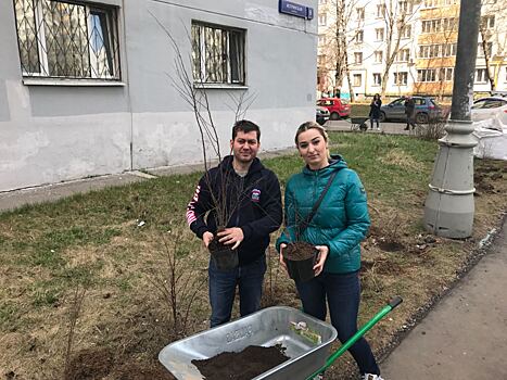 «Миллион деревьев» в районе Кунцево