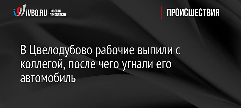 В Цвелодубово рабочие выпили с коллегой, после чего угнали его автомобиль