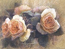 Выставка «Сонеты в цвете» открылась в Дарвиновском музее