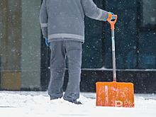 Власти о поддержании чистоты в Казани: "Время для уговаривания прошло, пора наказывать"