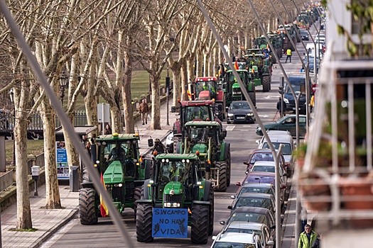 Почему протесты фермеров продолжаются по всей Европе