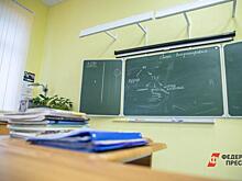 Минобразования Свердловской области не дало уволить директора сельской школы в Косулино