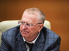 Жириновский предположил, когда выпустят Ефремова из тюрьмы